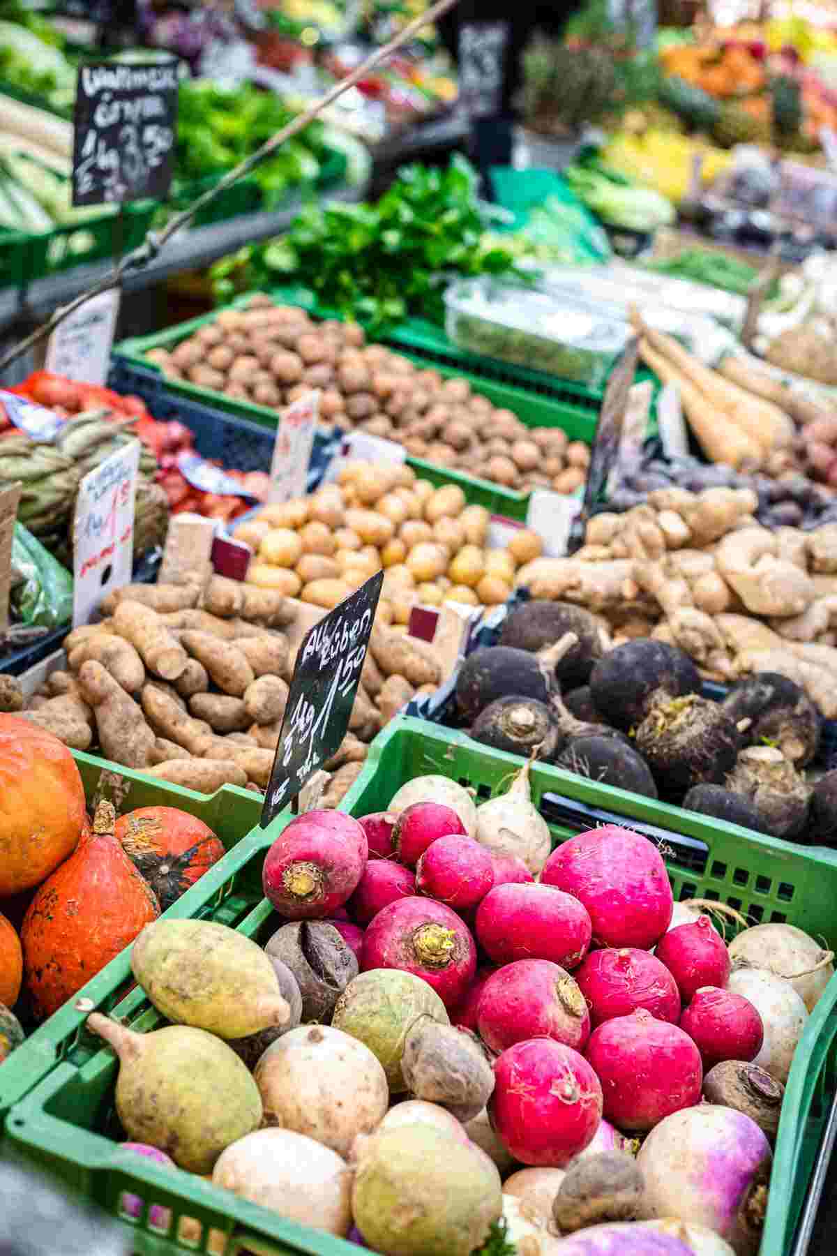 Clean Eating Food fresh root vegetables.