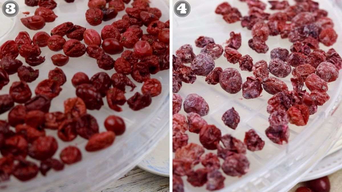 Dried cranberries on a tray.