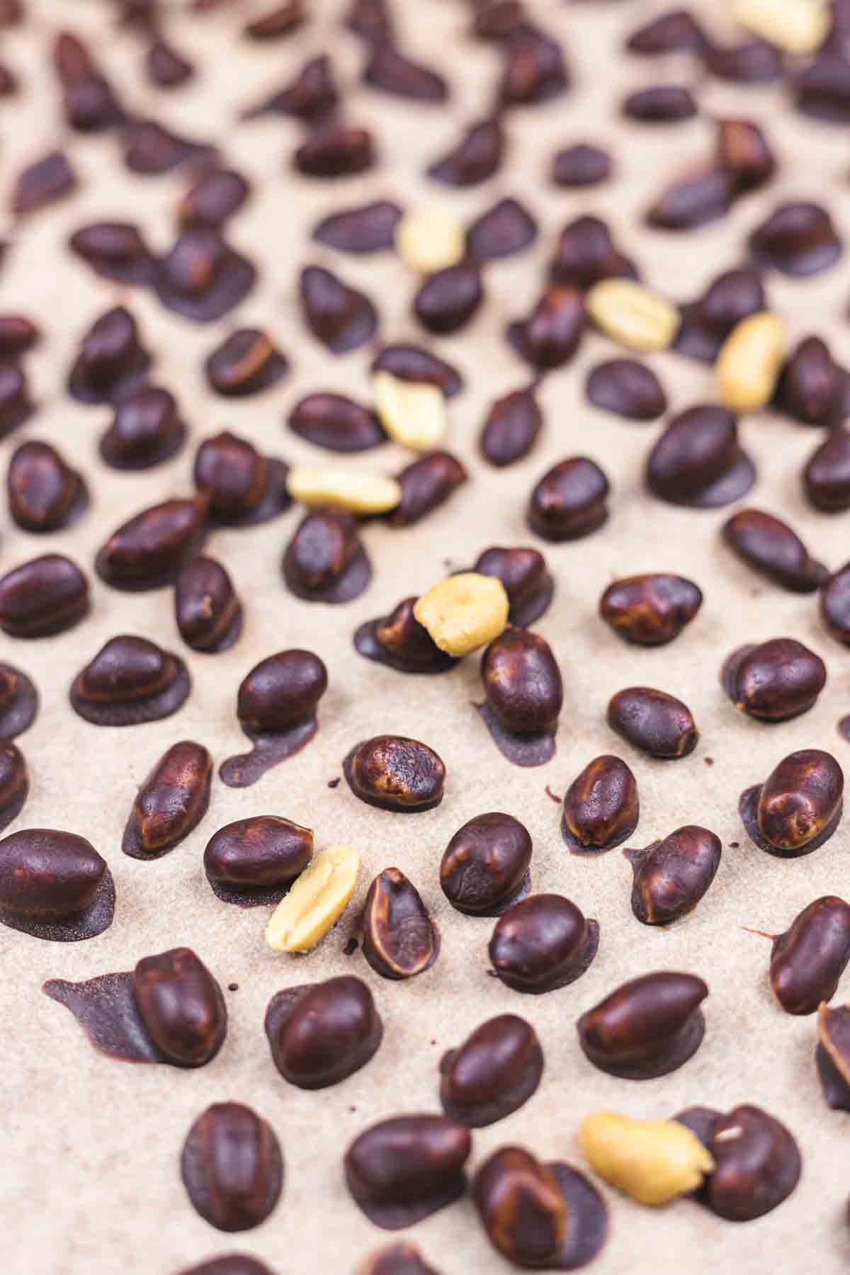 Chocolate peanuts scattered on a paper surface.