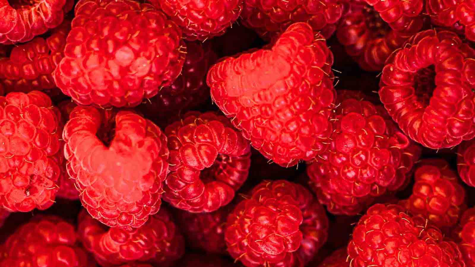 I Make These 17 Berries Recipes Anytime Guests Come Over Tiny Batch I Make These 17 Berries Recipes Anytime Guests Come Over Tiny Batch
