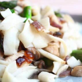 Close-up of a plate of noodle dish with pieces of chicken, mushrooms, asparagus, and caramelized onions.