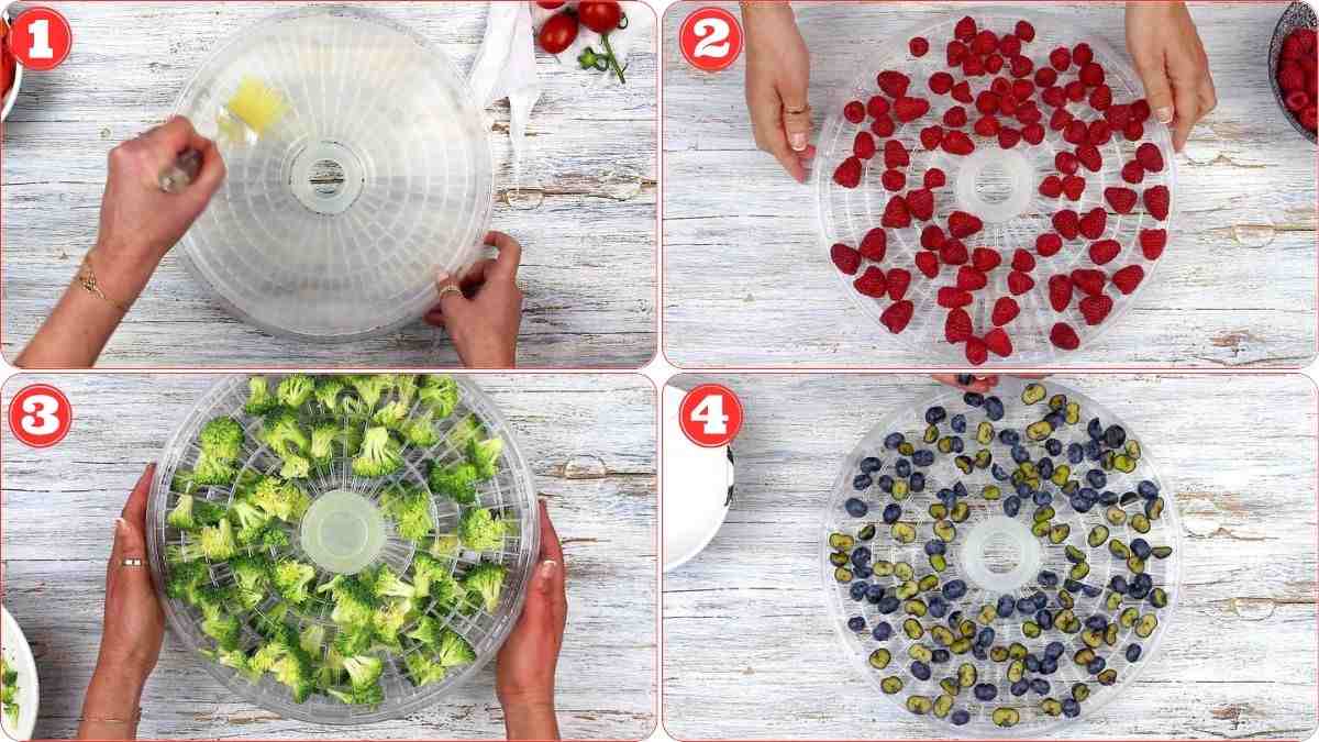 Arranging fruits and vegetables on the dehydrator.