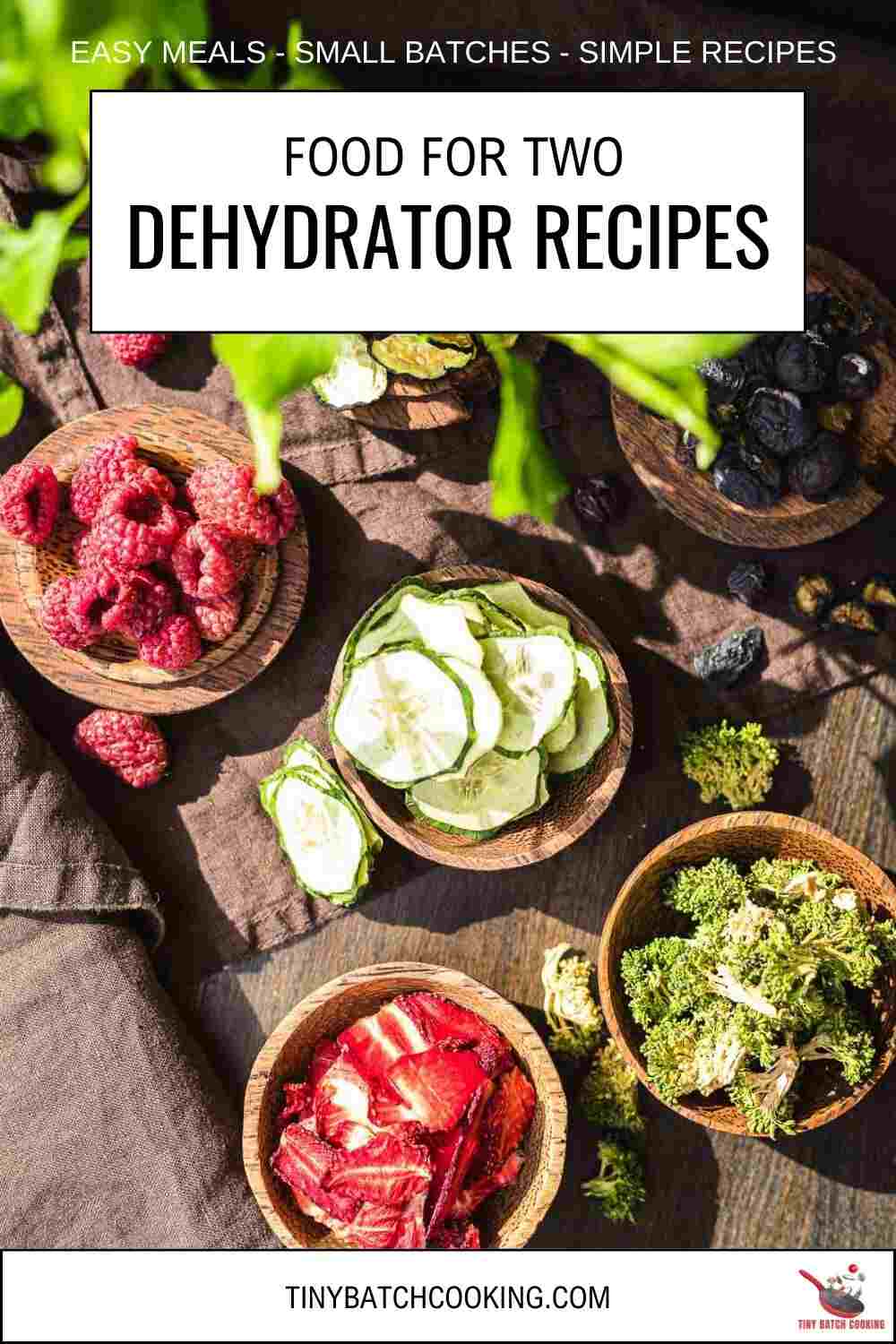 Small bowls of dehydrator recipes including berries, cucumbers, and broccoli.