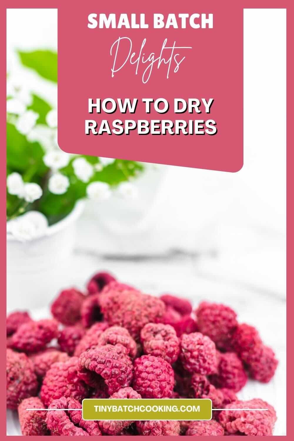 Drying Raspberries Inoven How To Use Dried Raspberries
