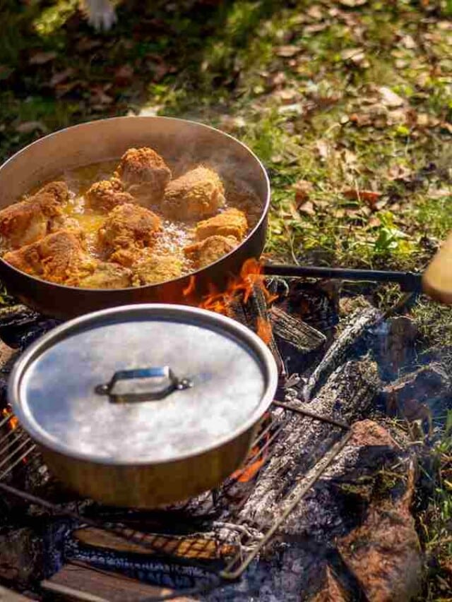 A pot of food cooking over an open flame outdoors, with pieces of meat frying in a pan and a covered pot beside it, surrounded by grass and scattered leaves.