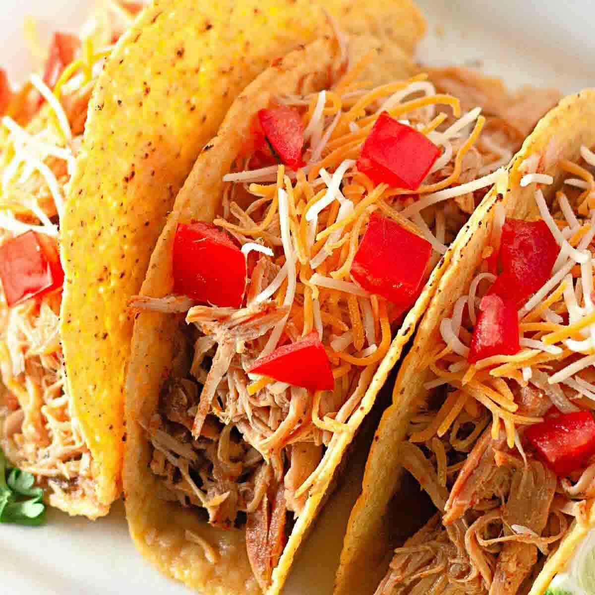 Three hard shell tacos filled with shredded meat, shredded cheese, and diced tomatoes are arranged on a plate.